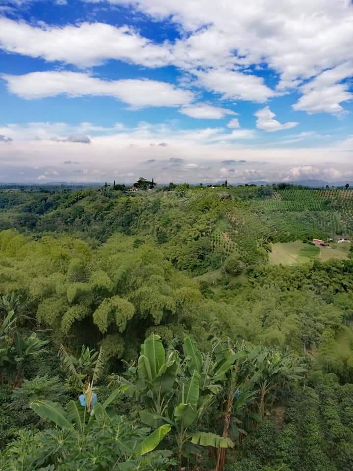 View from the coffee plantation in Salento