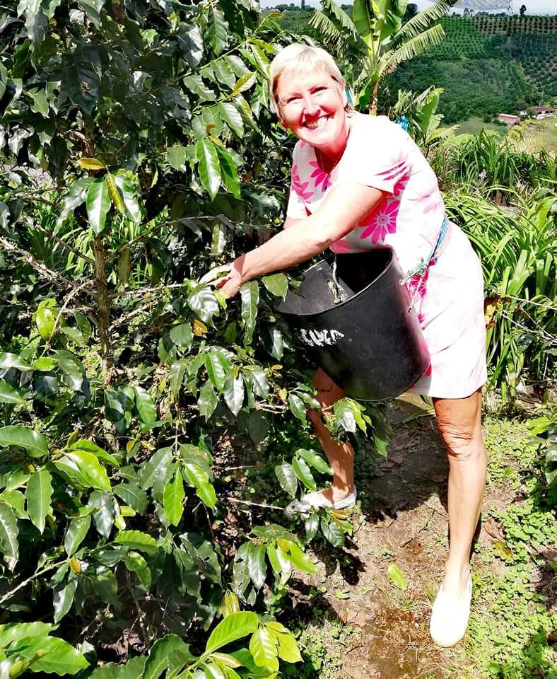 Me picking coffee at the plantation in Salento, Colombia