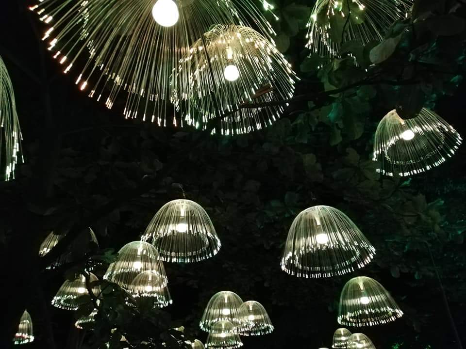 Christmas lights in Medellin, Colombia