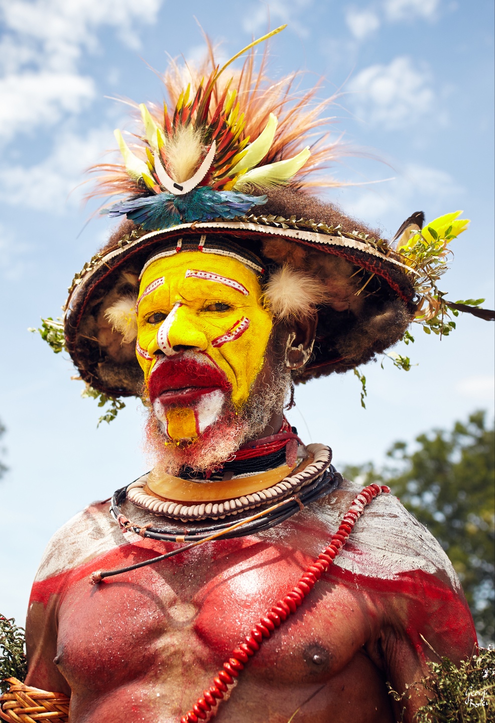 huli wigmen male tribesman