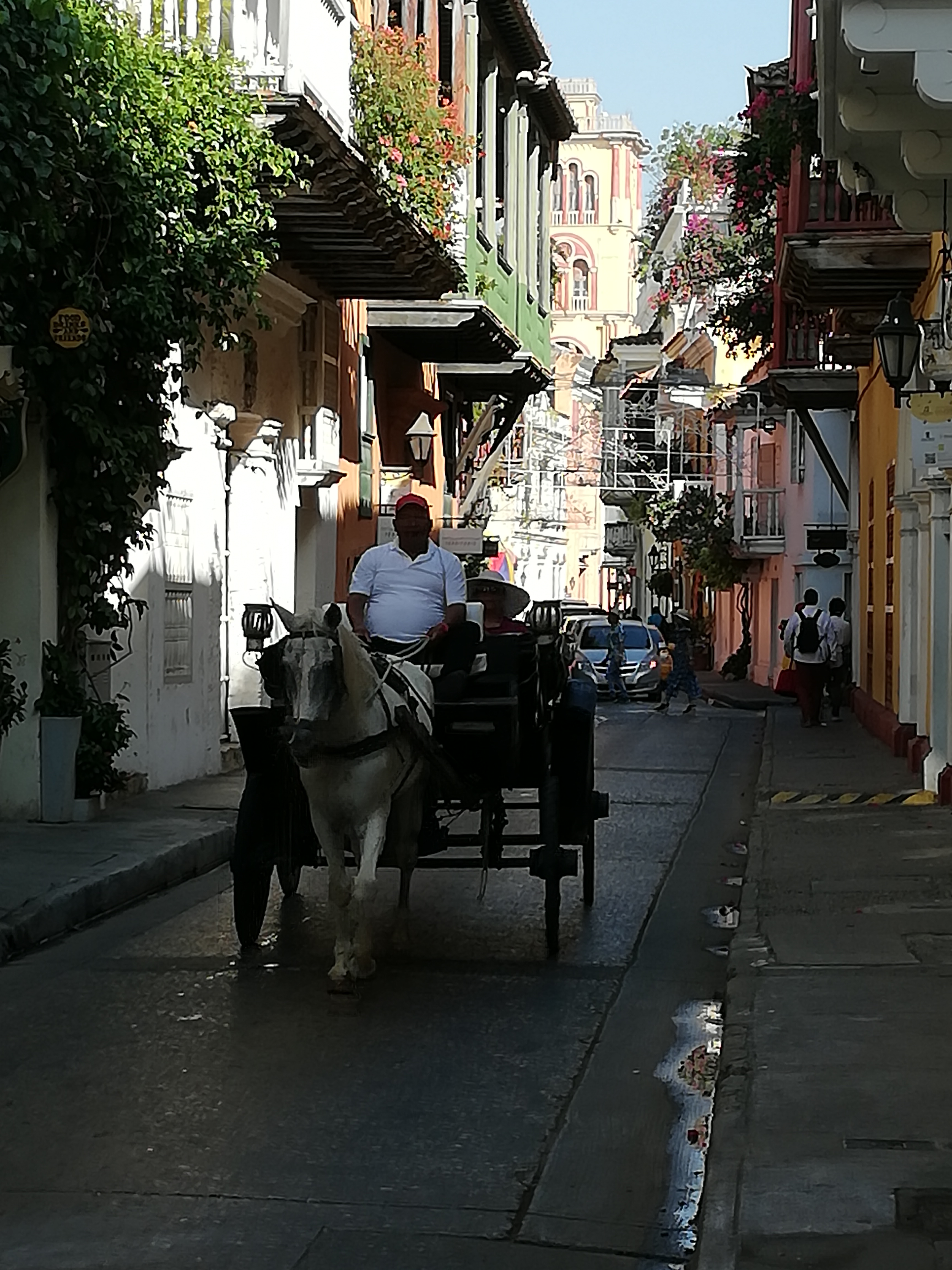 Cartagena horse and carriage