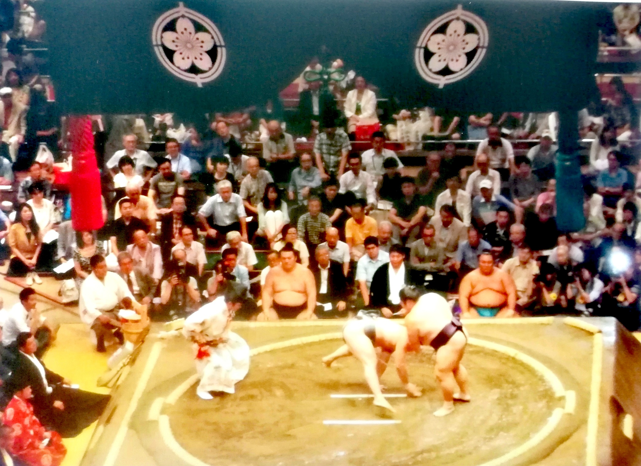 sumo wrestlers match