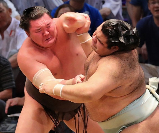 sumo wrestling