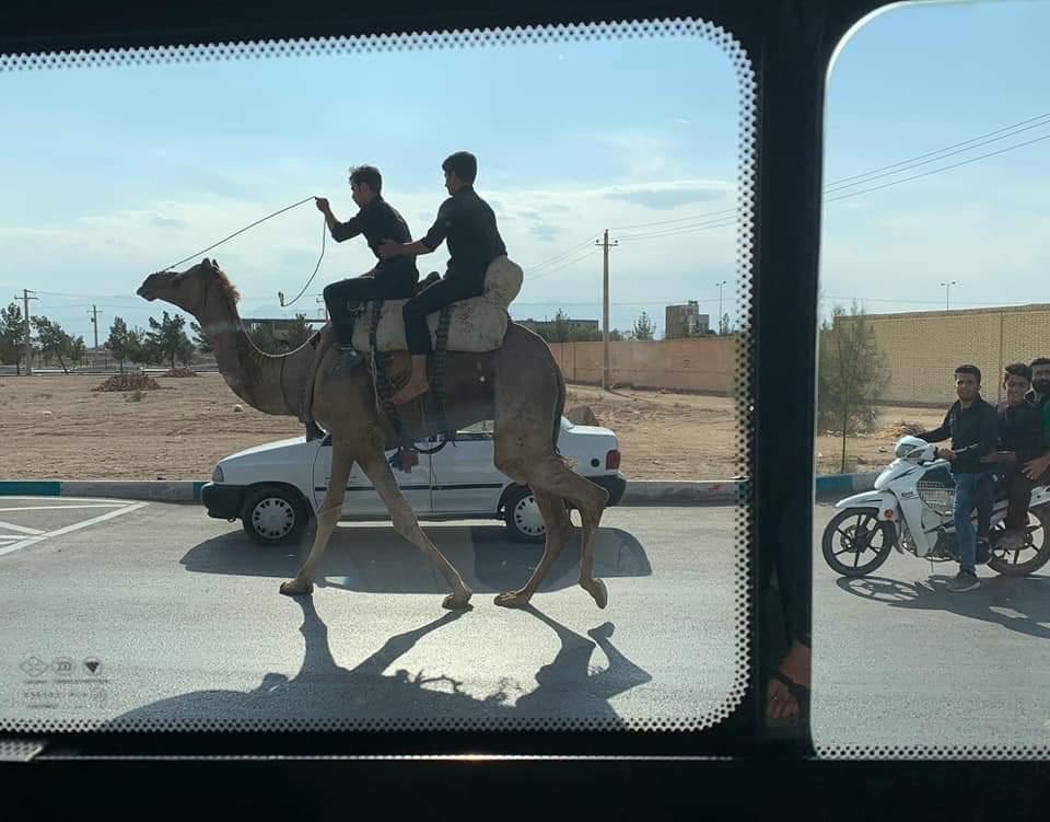 2 men riding a camel