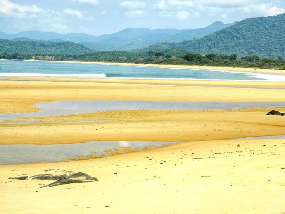 beautiful bright beach in Sierra Leone