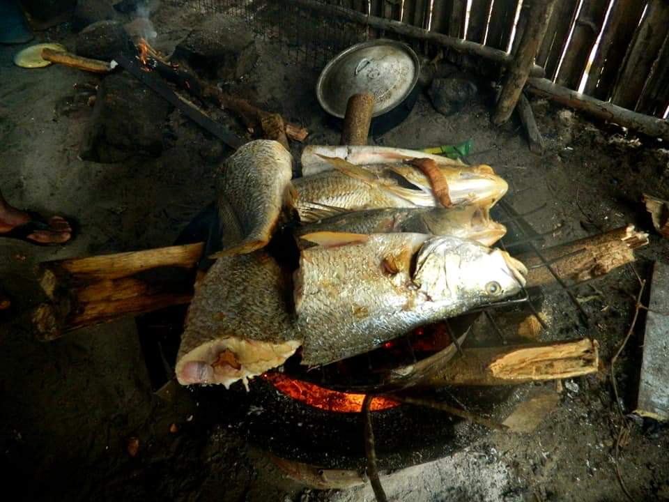 cooking fish