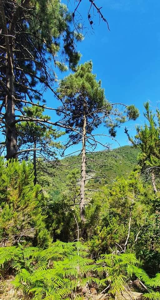 a walk in nature
