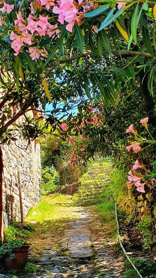beginning of the hike to telagrafo