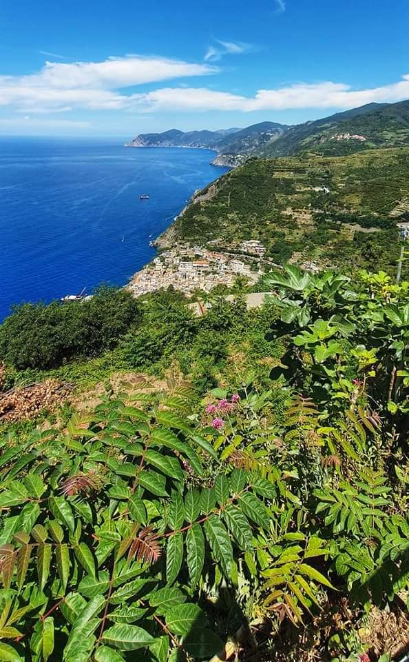 levanto coming into view