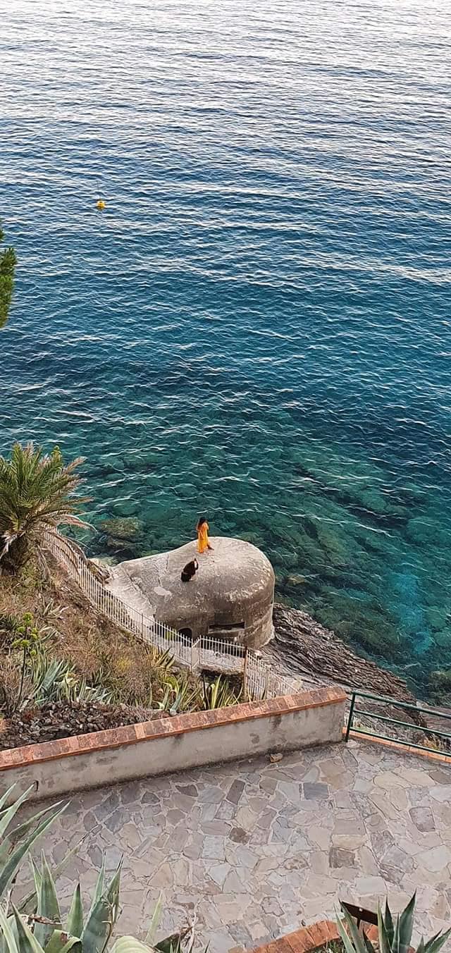 listening to the ocean