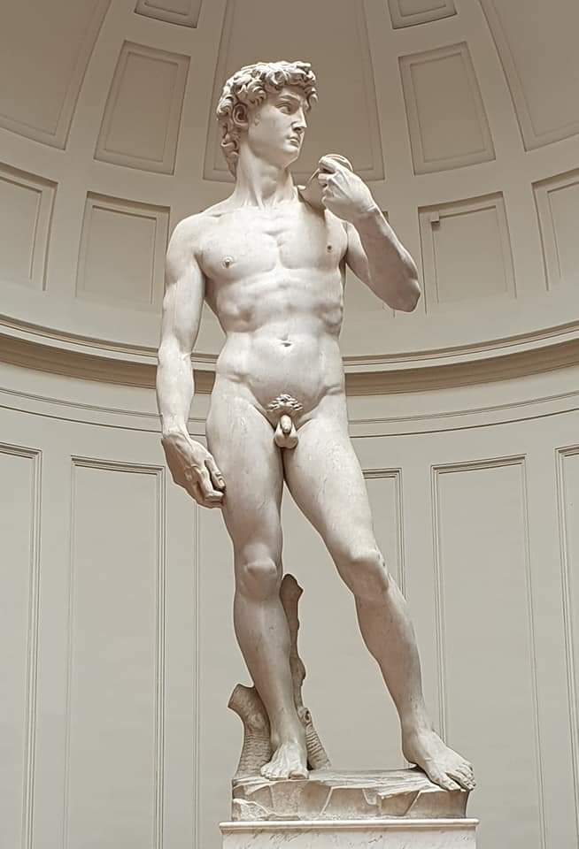 Michelangelo's Statue of David