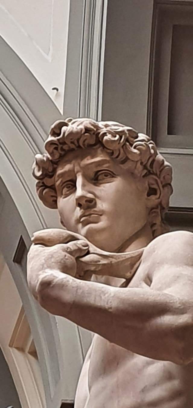 statue of david close up