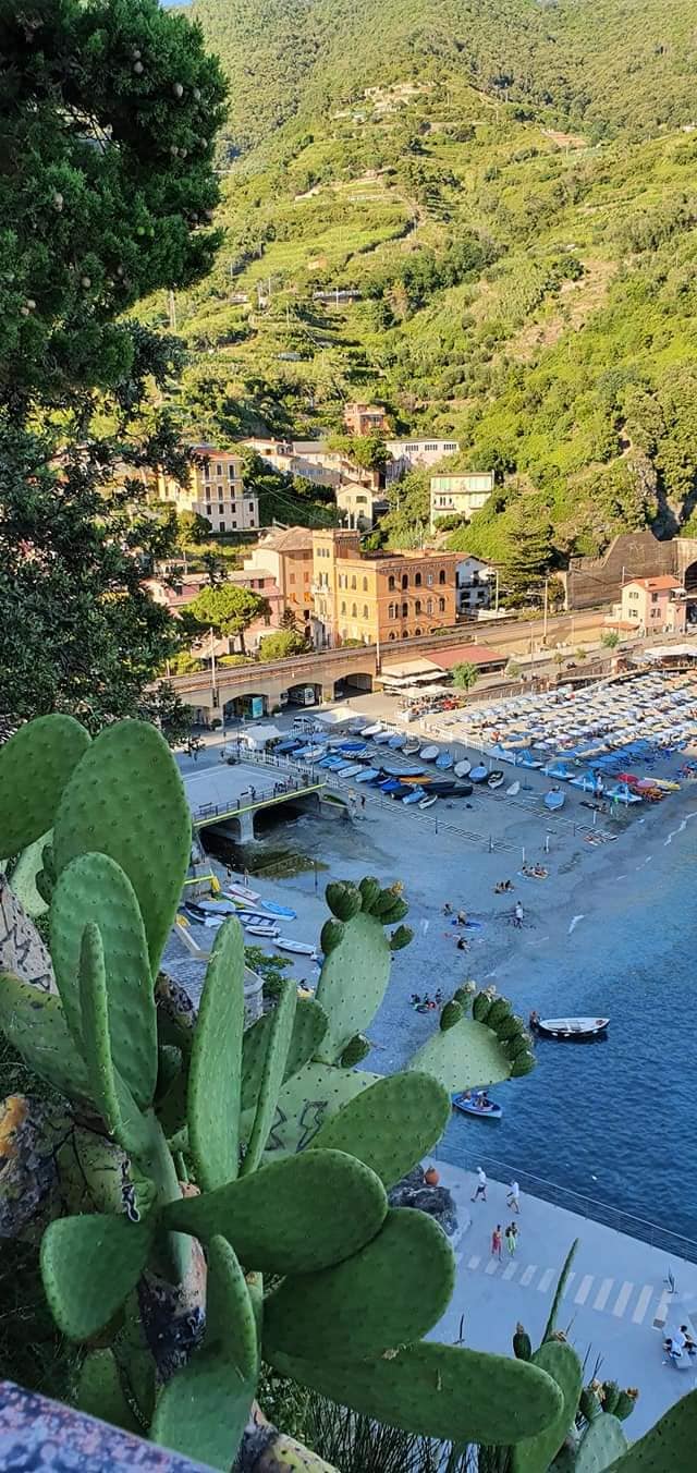 monterosso port