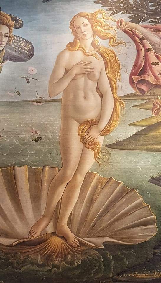 the birth of venus