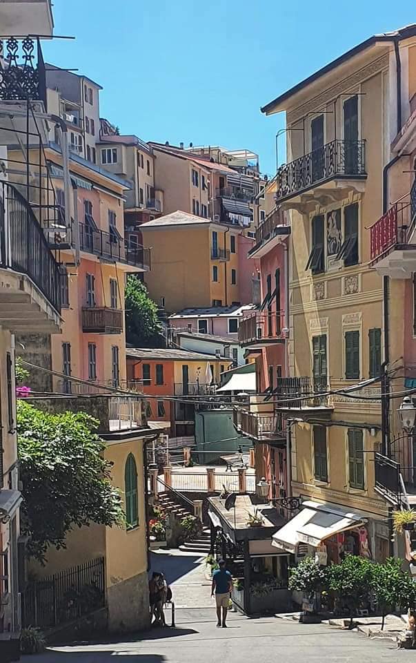 the streets of manarola