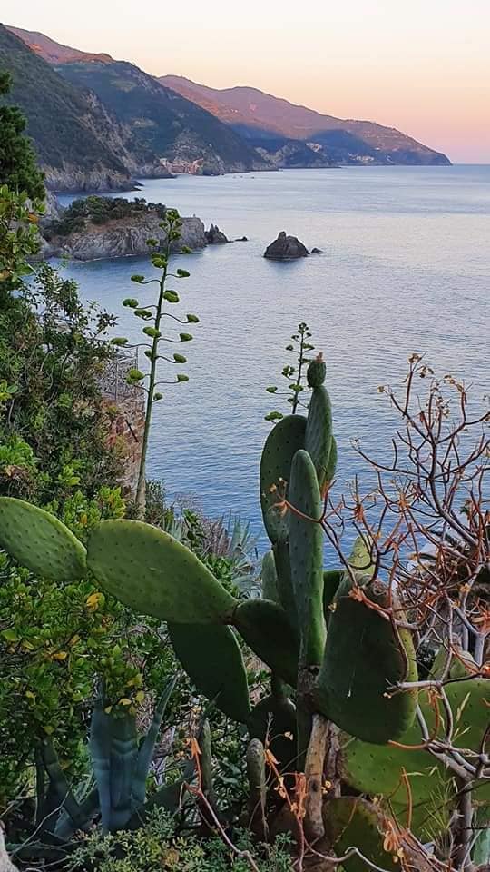 the sun going down over the sea at monterosso