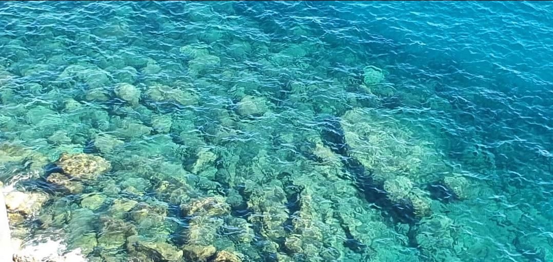 the water is so clear