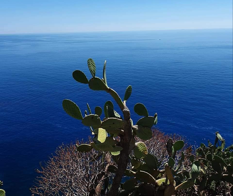 view out to sea from corniglia