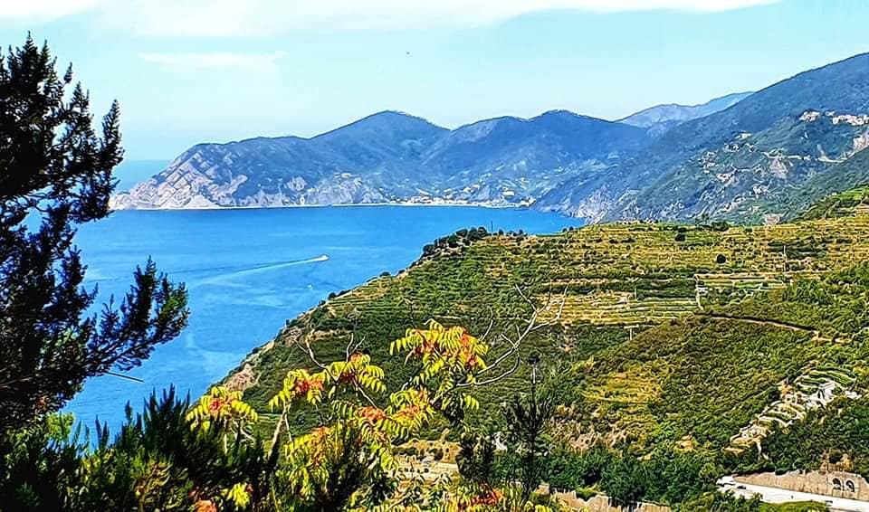 a walk through the vineyards