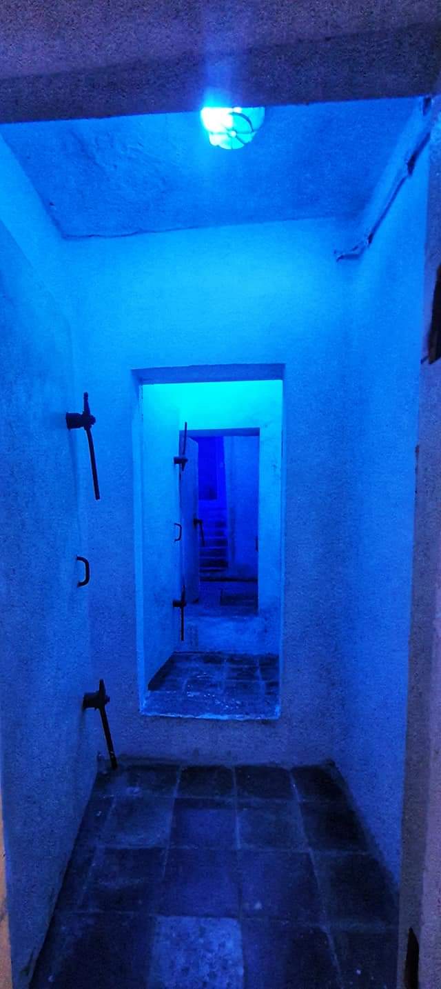 bunkart 2 - blue