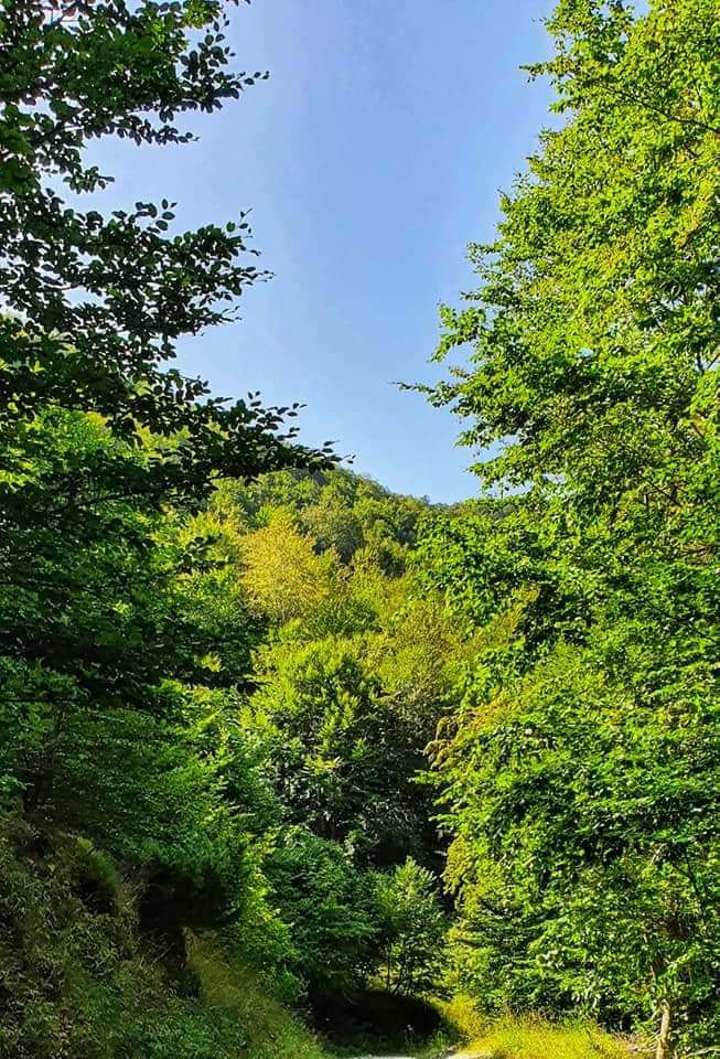 hike mavrovo national park