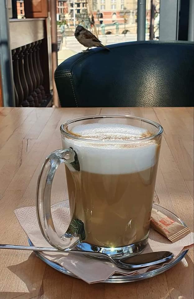 morning coffee on boat