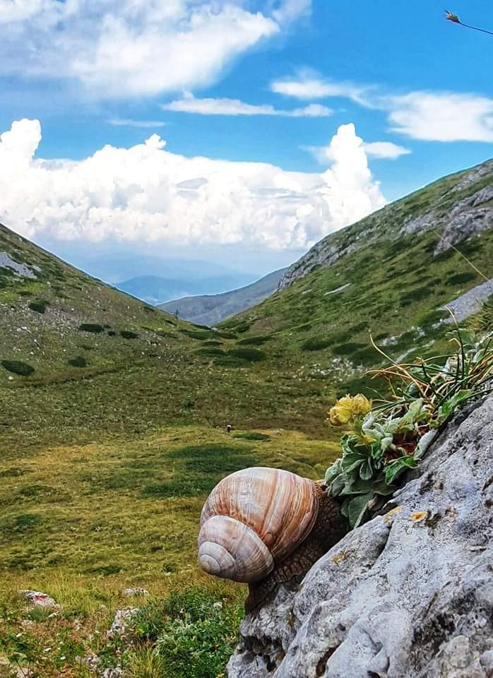 national park galicica