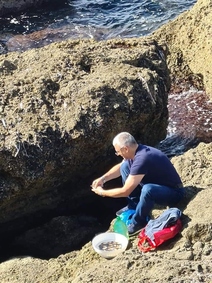 collecting seafood gallipoli