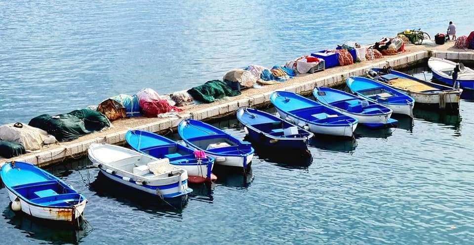 fishing boats gallipoli harbour