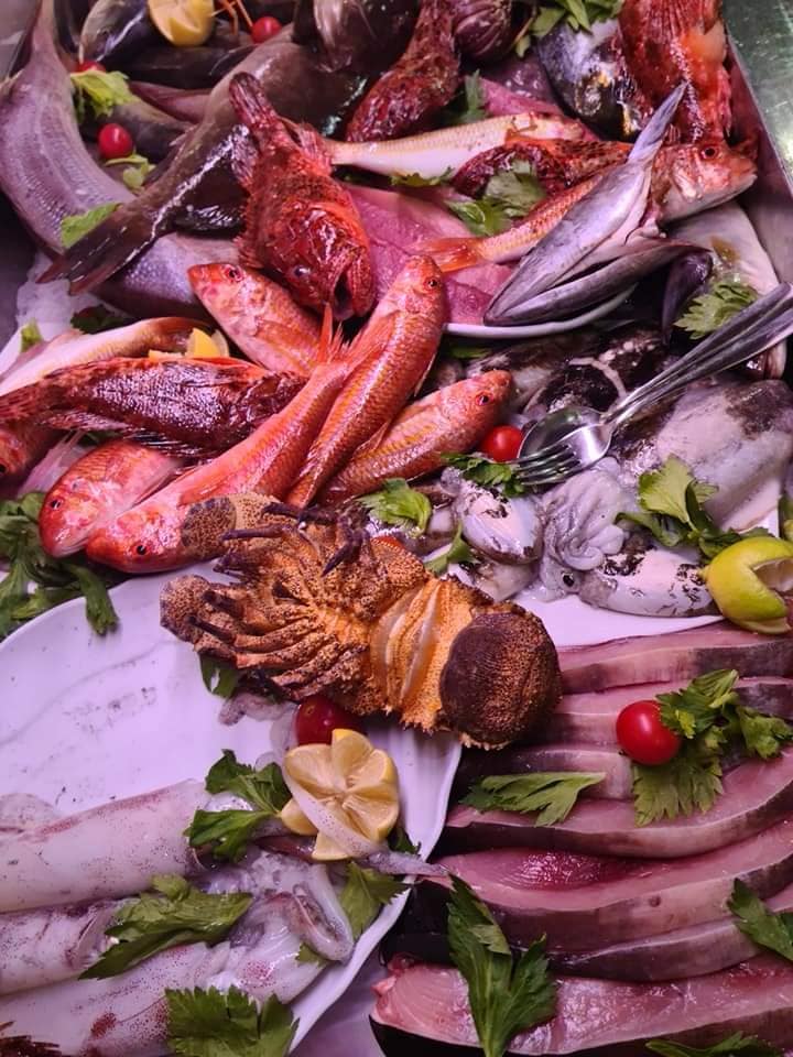 fresh seaood gallipoli