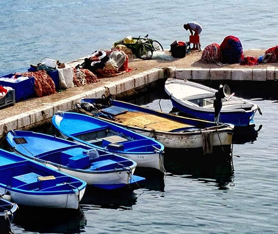 gallipoli harbour