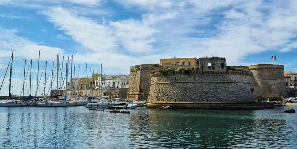 gallipoli host read