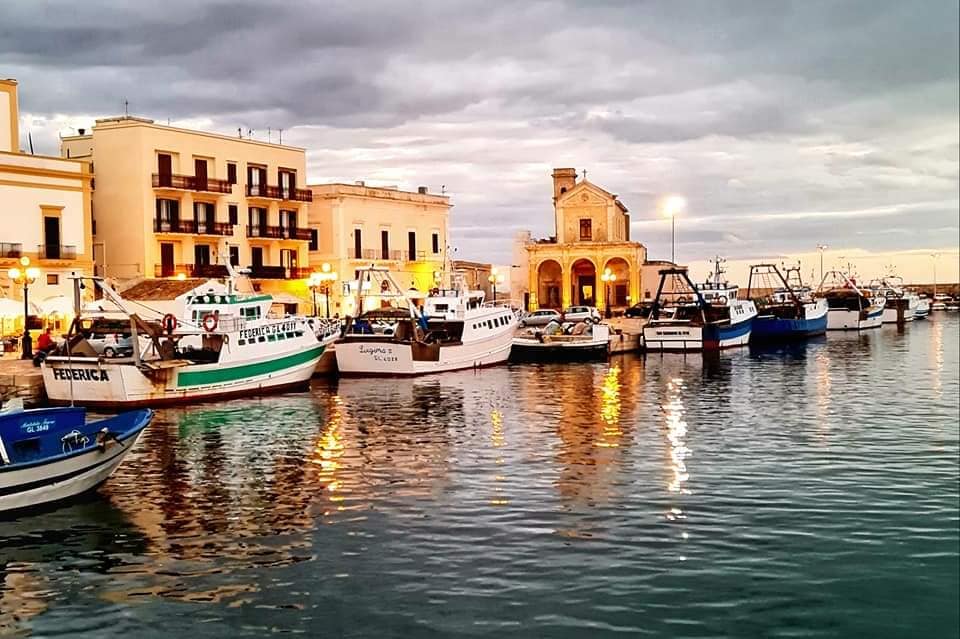 harbour reflections