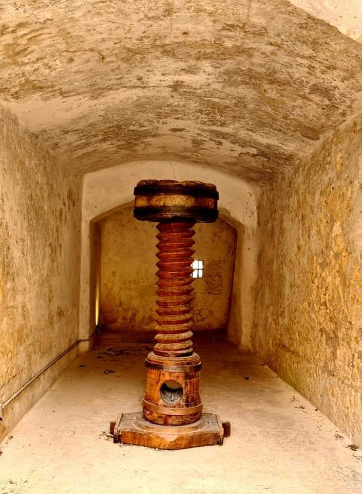 inside gallipoli host read