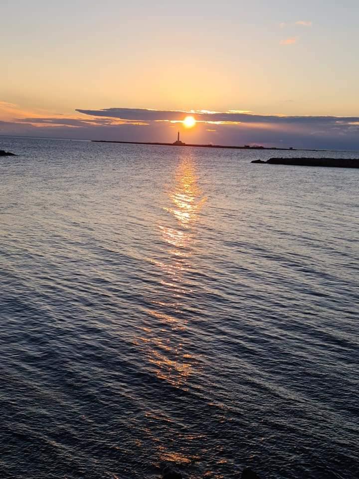 sun shimmering on sea
