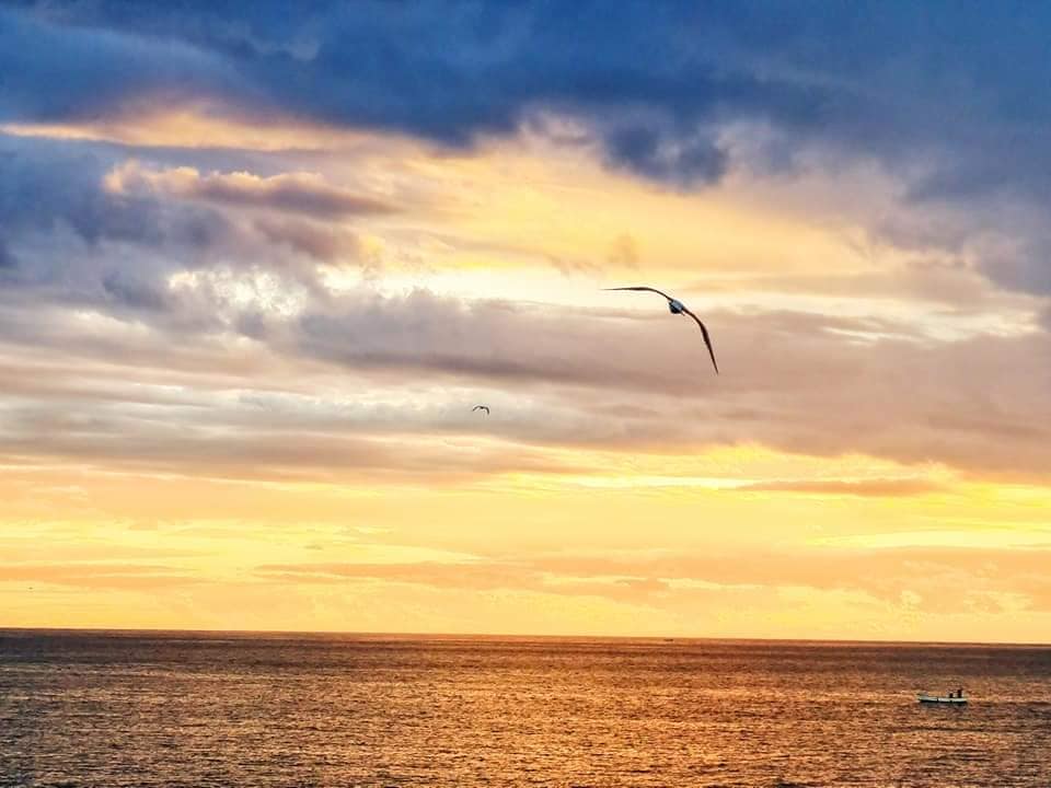 sunset hover