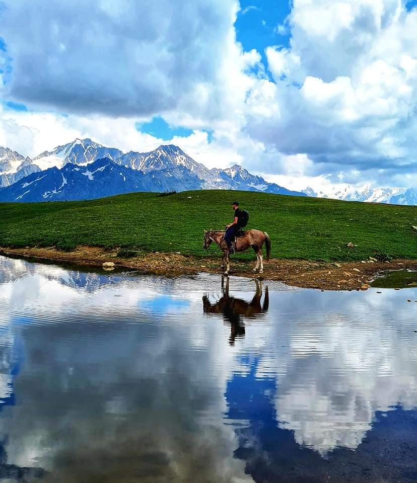 Horse drinking in Koruldi lake Svaneti
