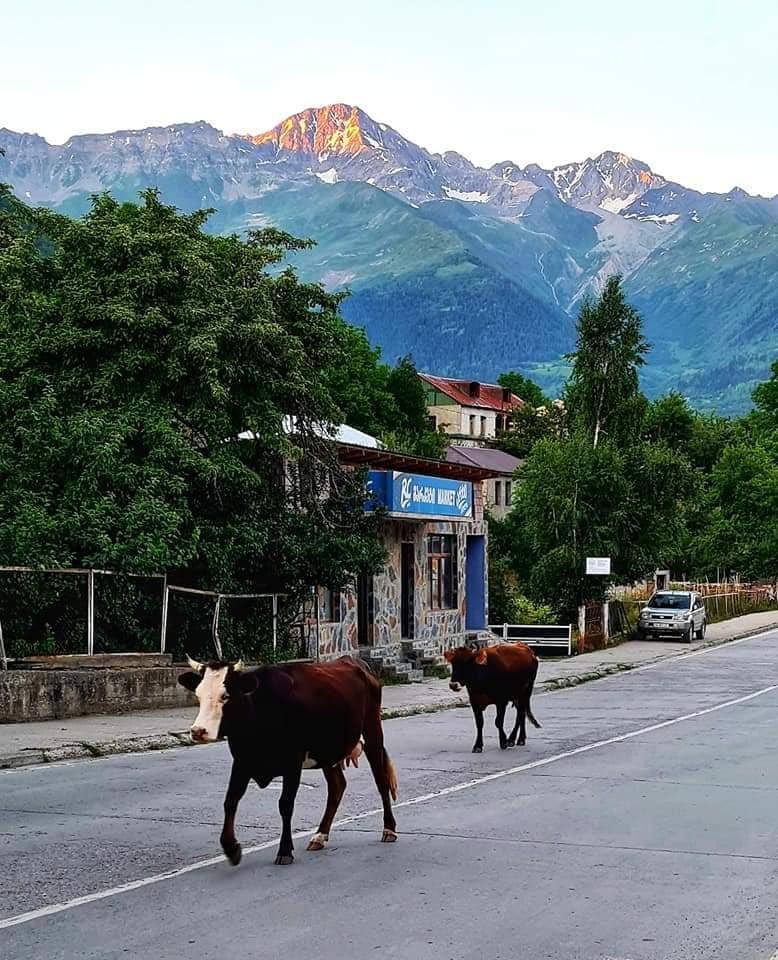 Mestia main street in Svaneti, Georgia