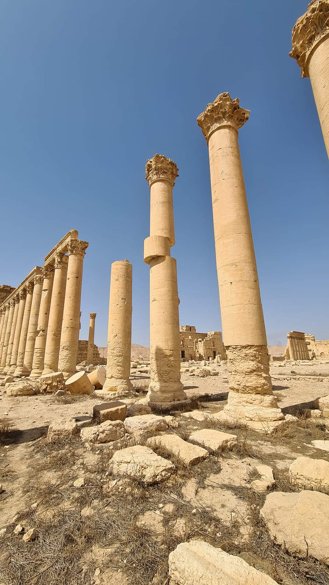 How is this still standing, Palmyra, Syria