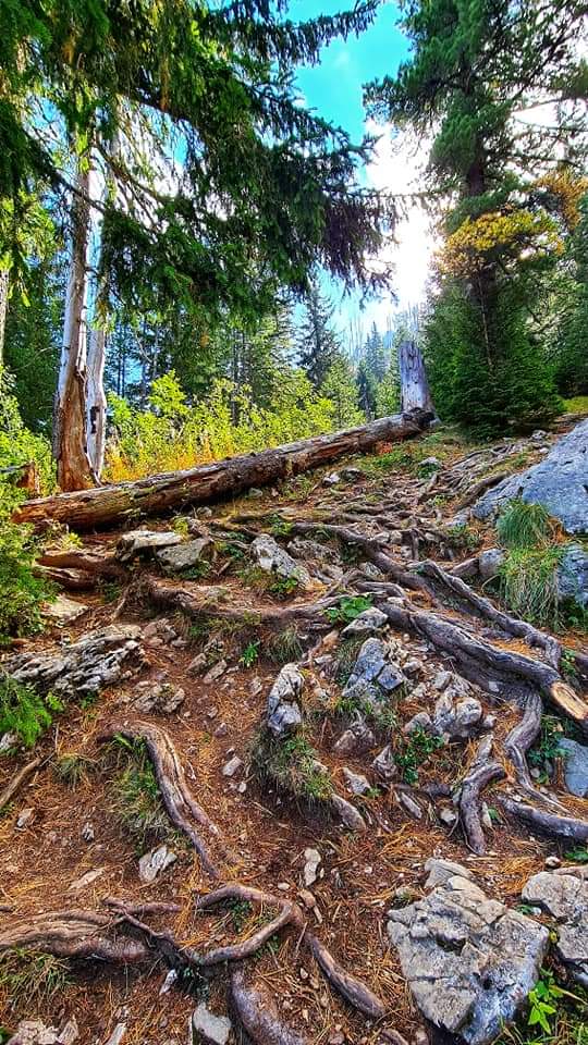 Hike through the forest Kosovo