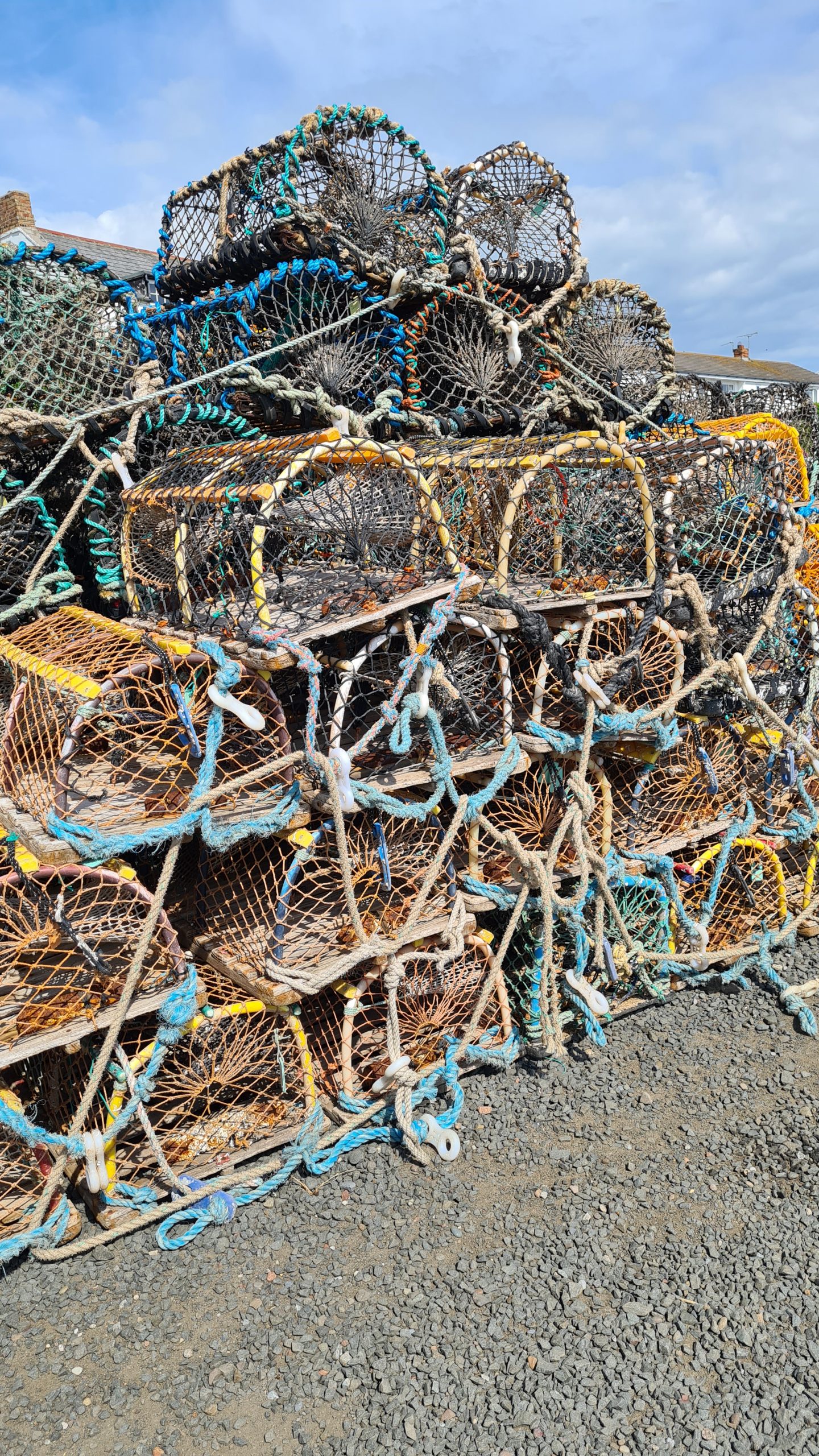 Crab pots Northumberland England