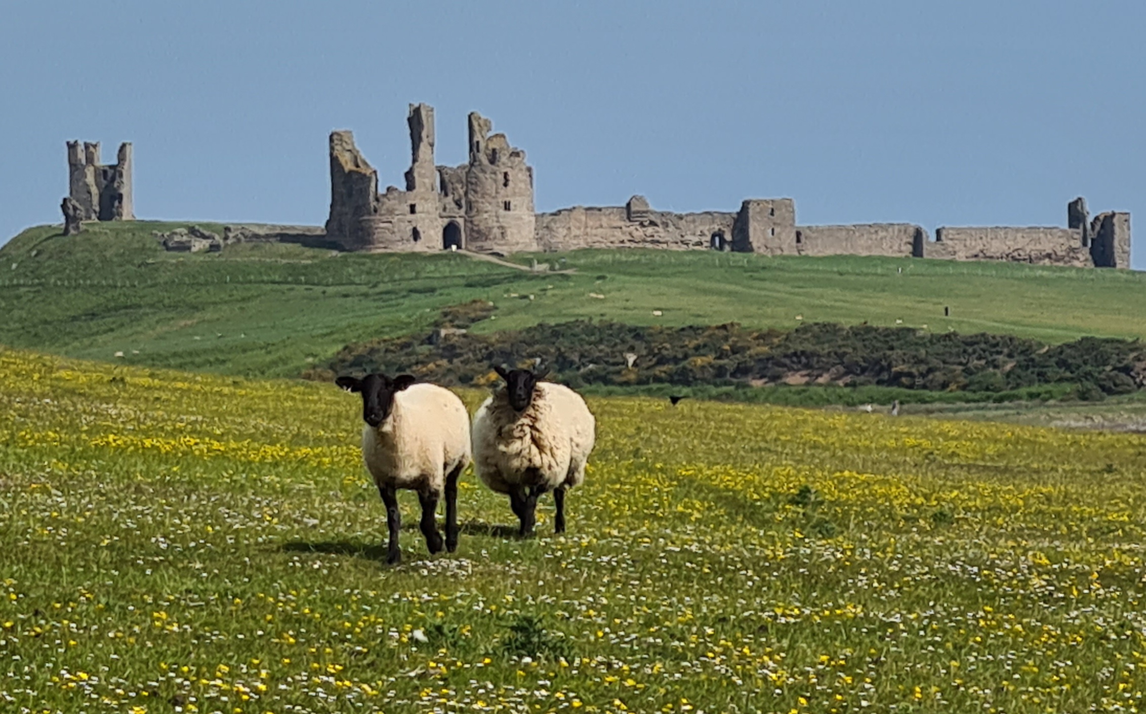Dunstanburgh castle in Northumberland U.K.