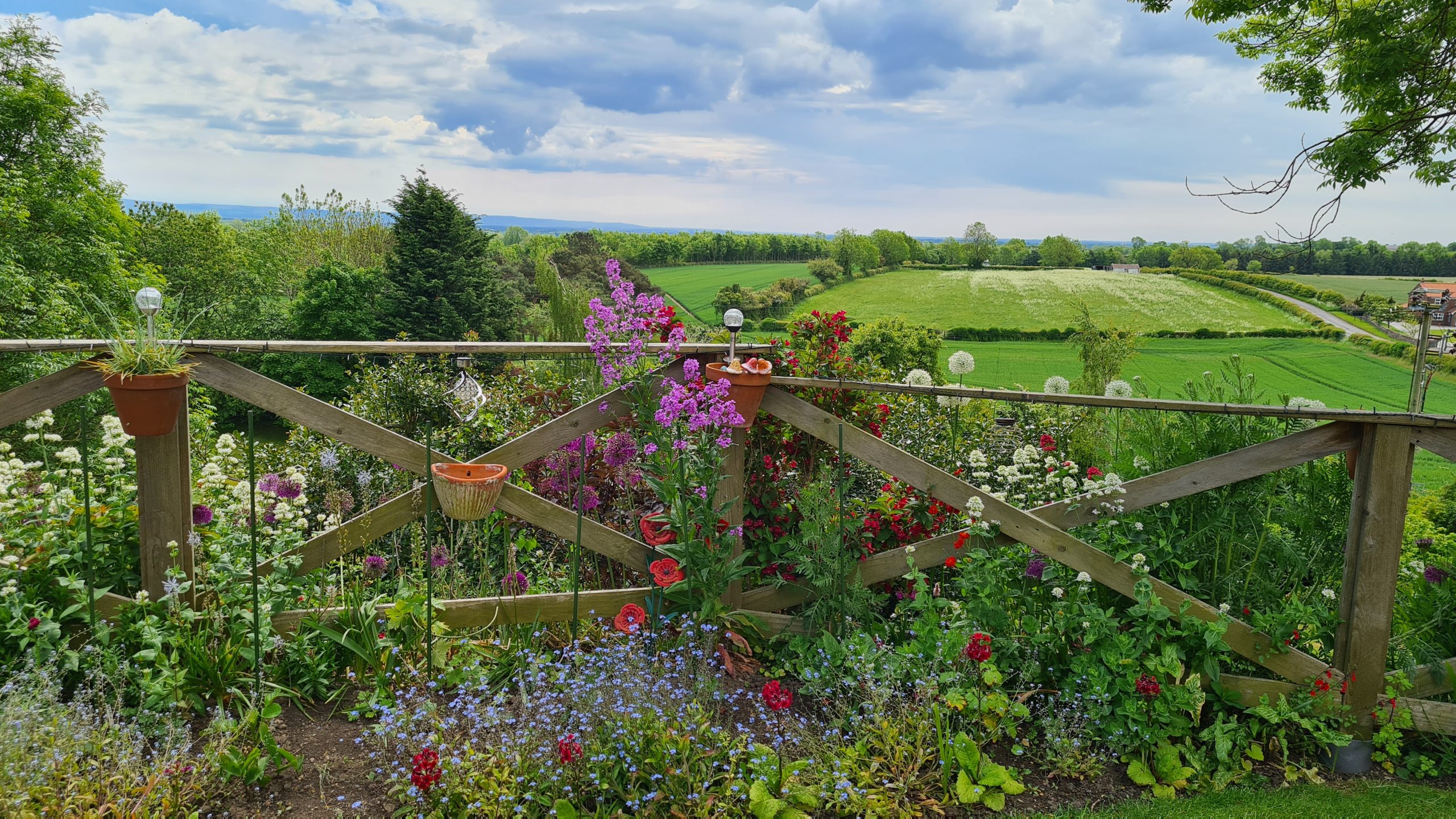 Lovely cottage garden in County Durham England