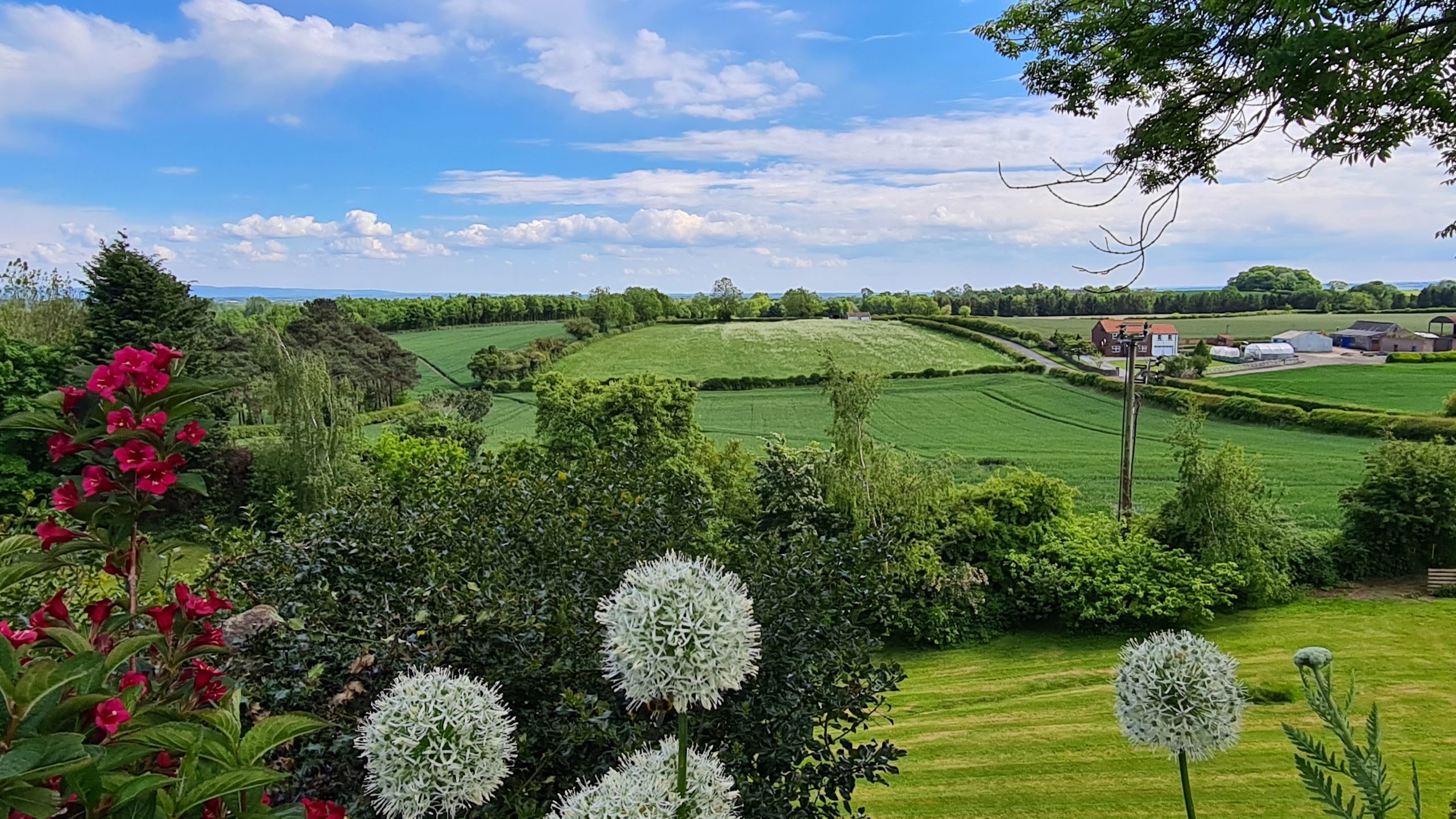 County Durham countryside, United Kingdom