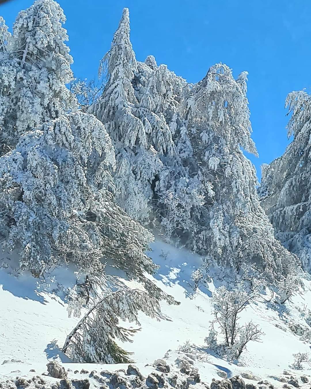 Snow on the mountain pass Lebanon
