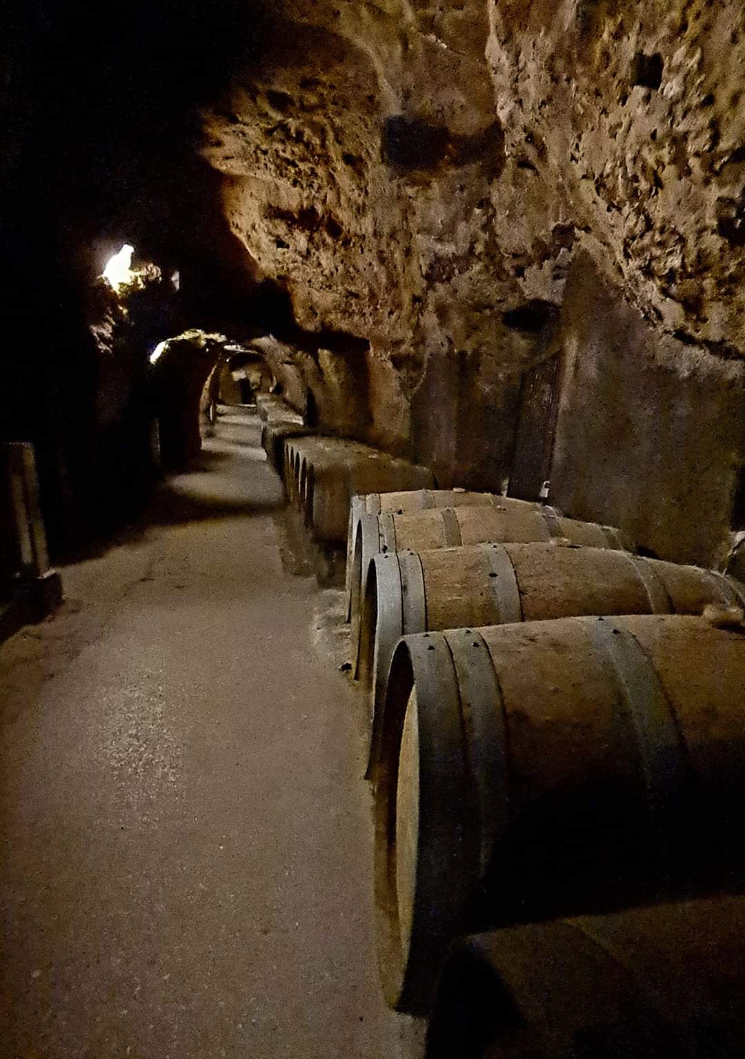 The oldest winery in Lebanon