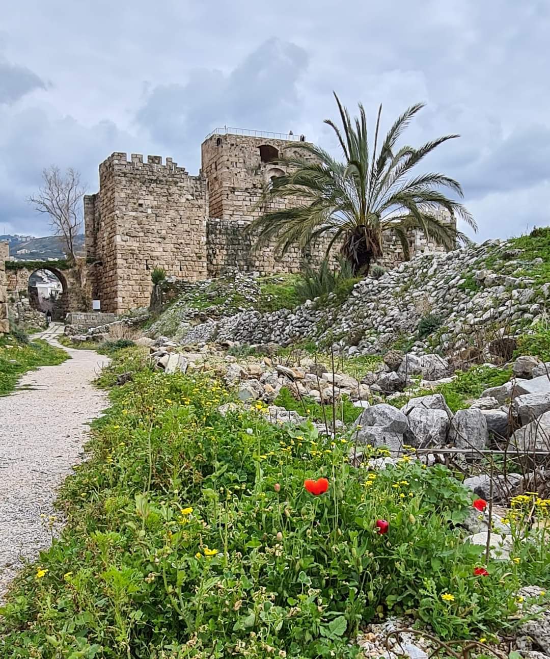 The fortress of Byblos Lebanon