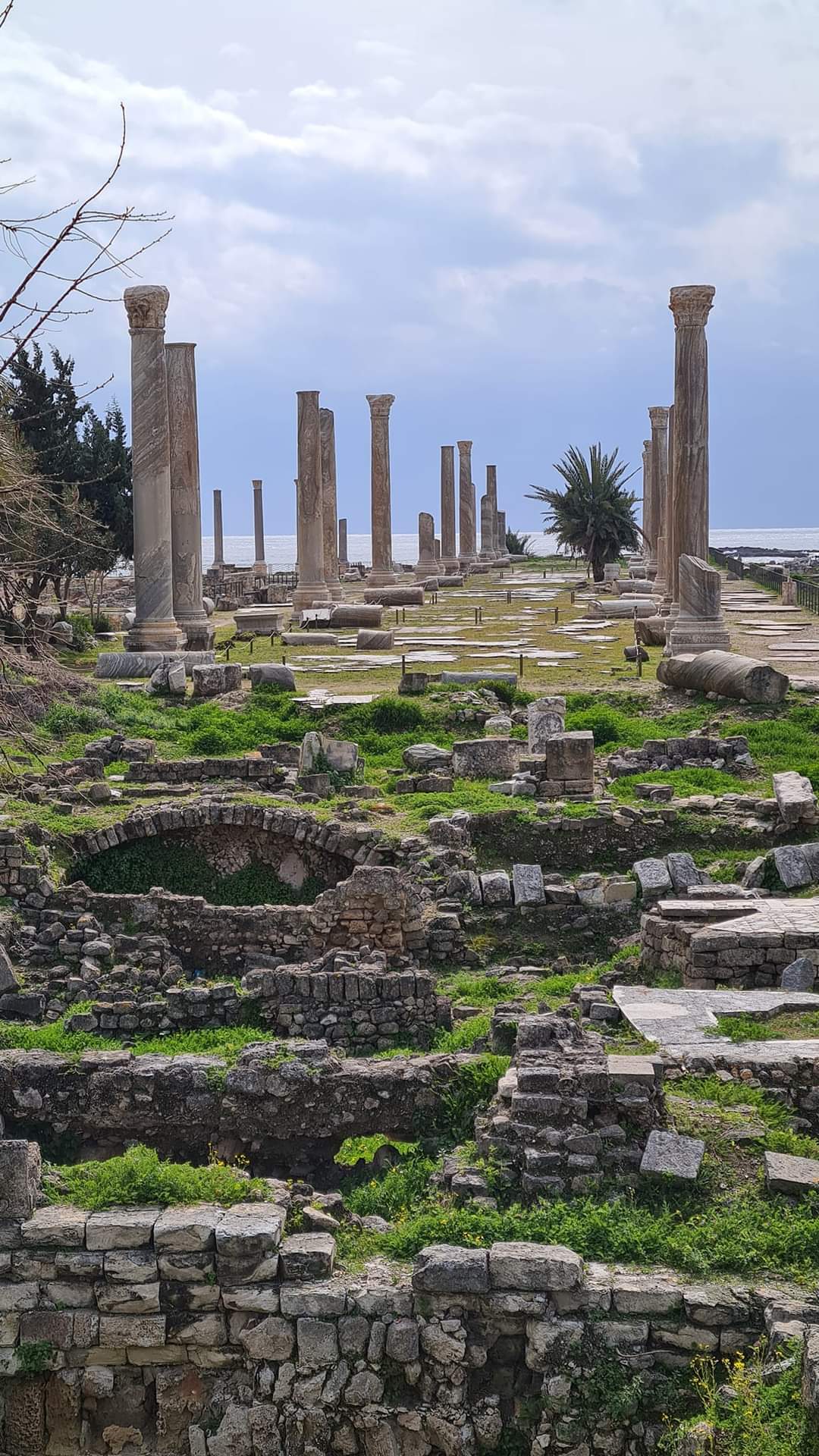Roman ruins in Tyre, Lebanon