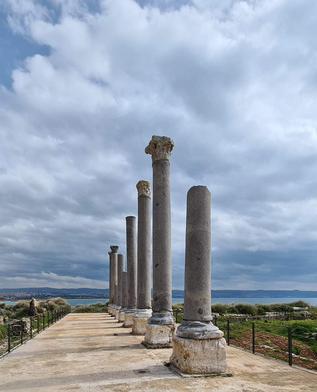 Roman columns in Tyre Lebanon