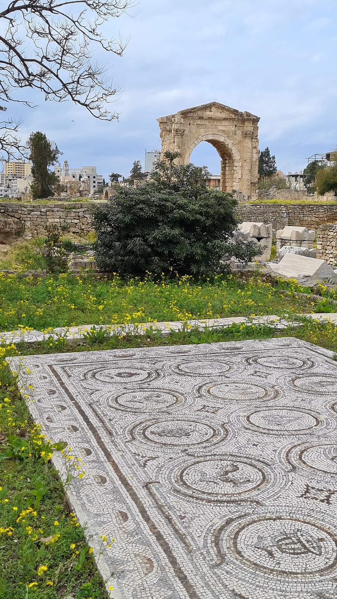 Roman mosaic in Tyre,Lebanon
